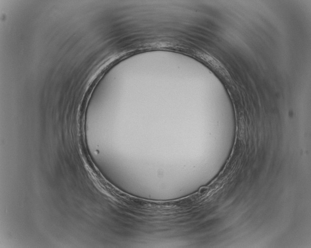 X0000061721039200512231403