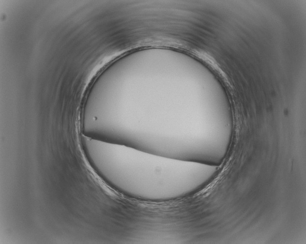 X0000061721040200512231403