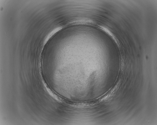 X0000061721042200512231403