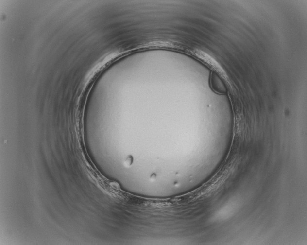 X0000061721043200512231403