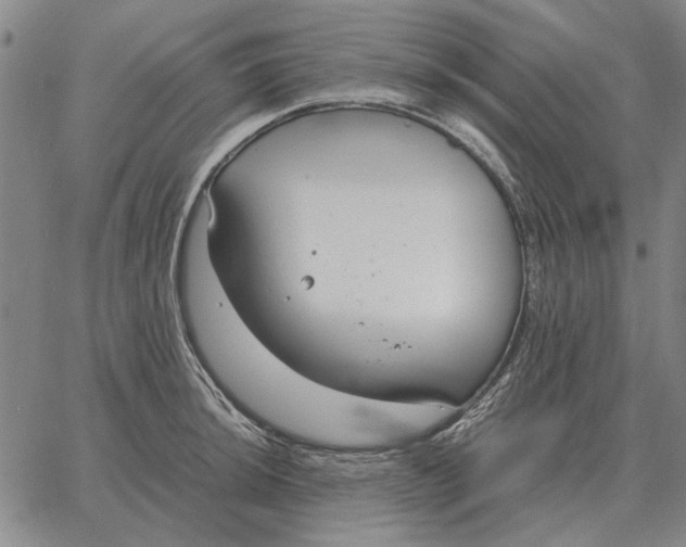 X0000061721044200512231403