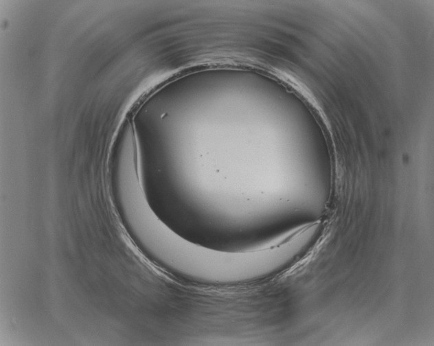 X0000061721045200512231403