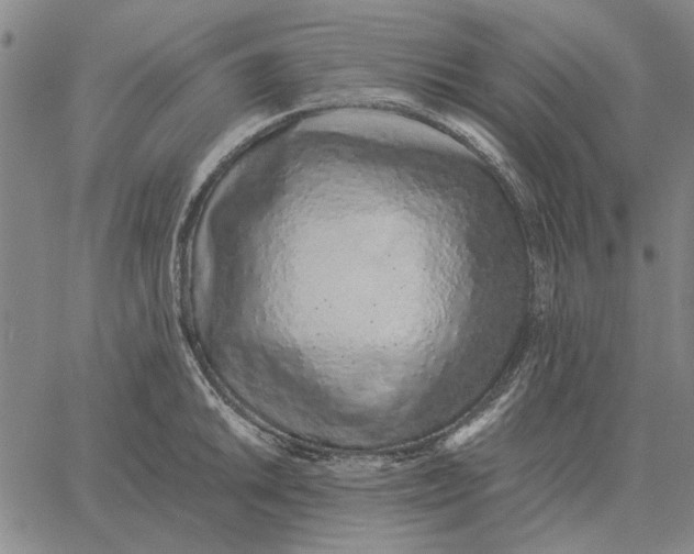 X0000061721046200512231403