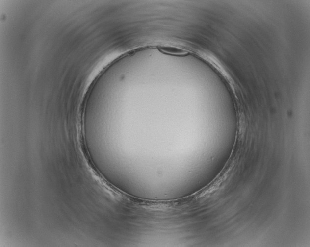 X0000061721048200512231403