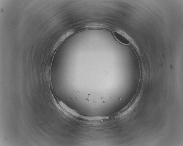 X0000061721049200512231403