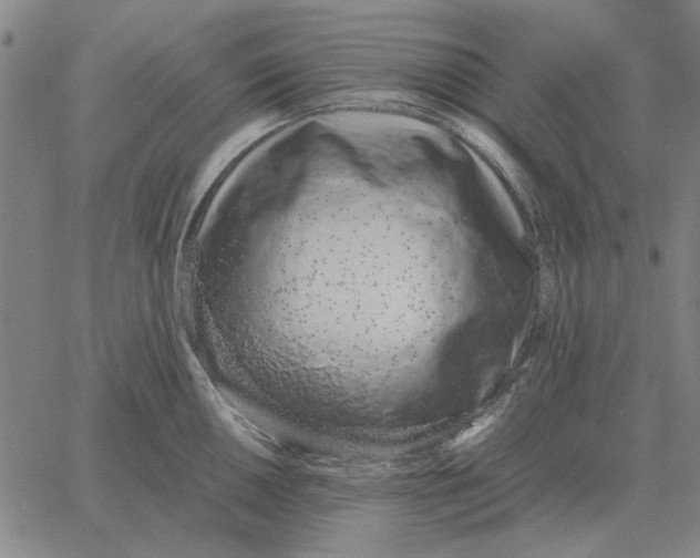 X0000061721050200512231403