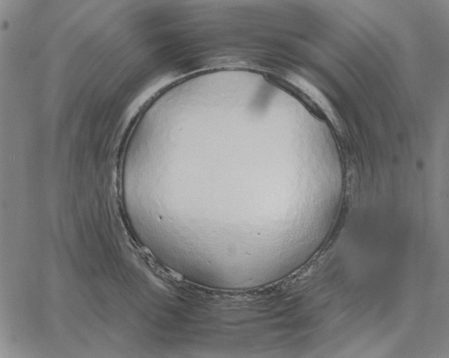 X0000061721051200512231403