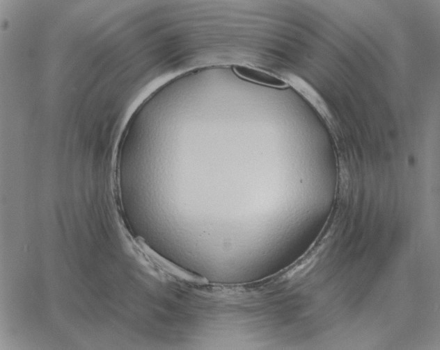 X0000061721052200512231403