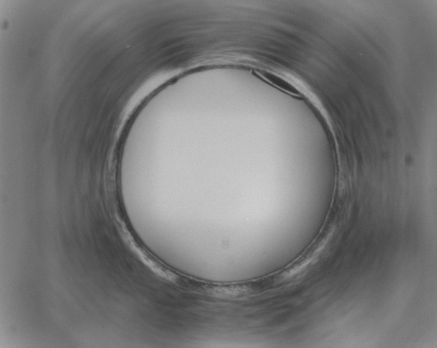 X0000061721053200512231403