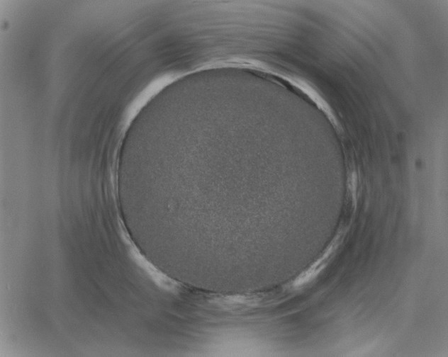 X0000061721054200512231403