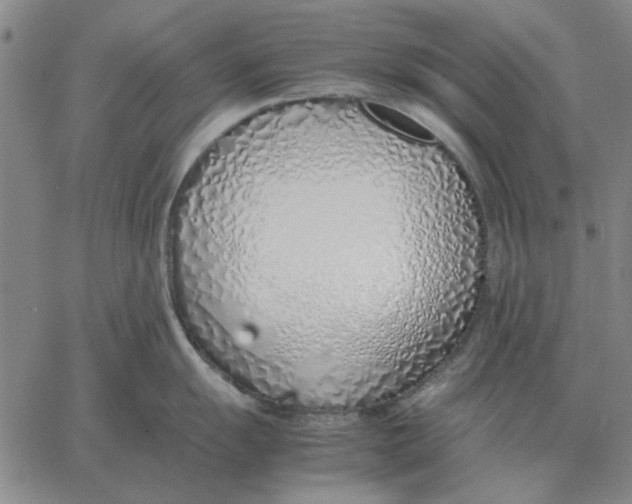 X0000061721055200512231403