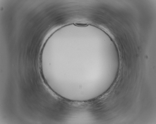 X0000061721056200512231403