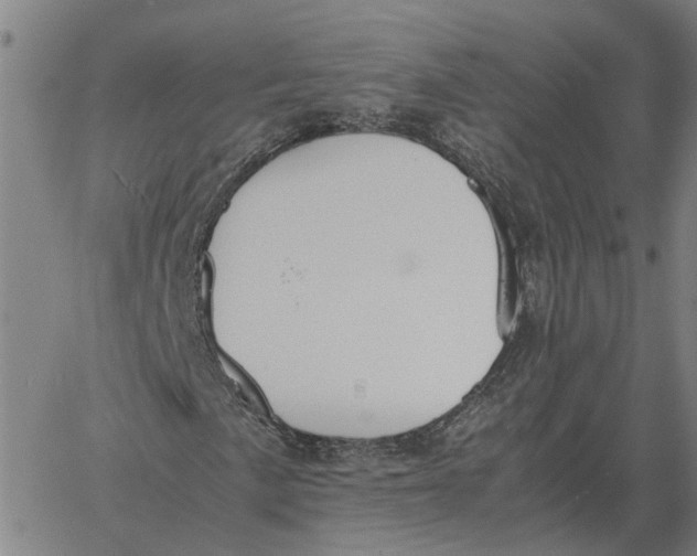 X0000061721057200512231403