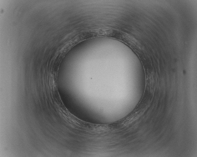 X0000061721058200512231403