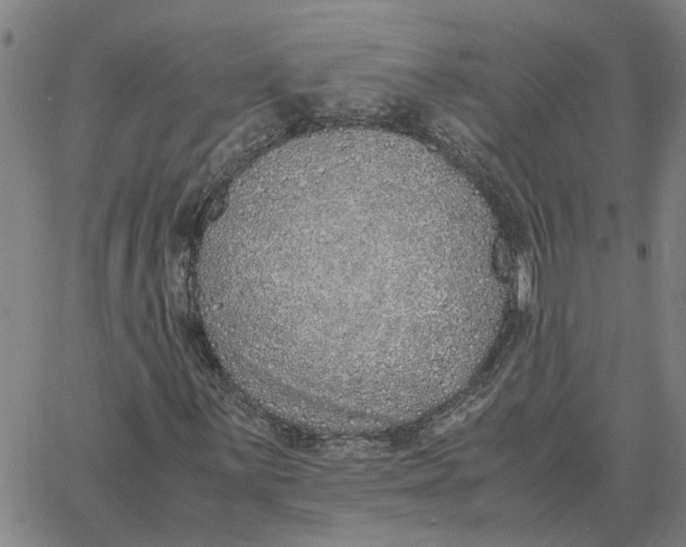 X0000061721059200512231403