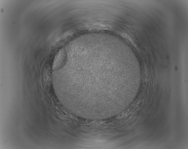 X0000061721063200512231403