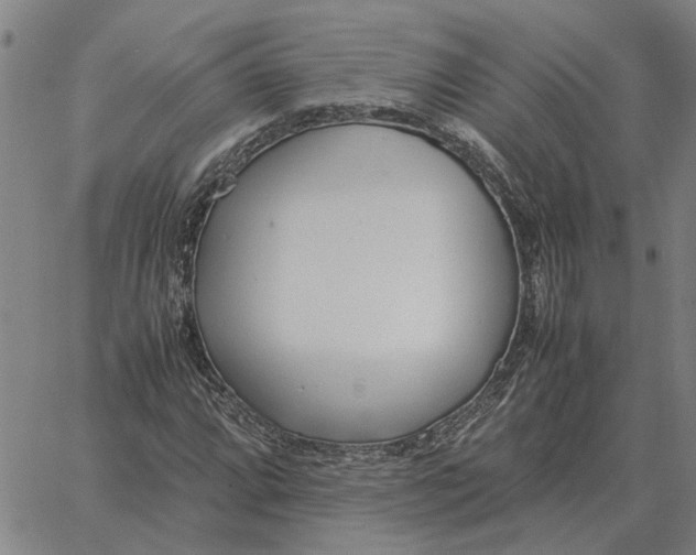 X0000061721064200512231403