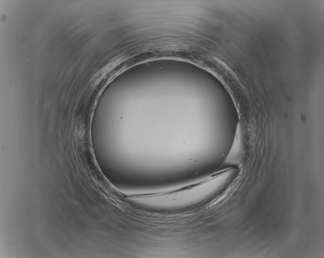 X0000061721065200512231403