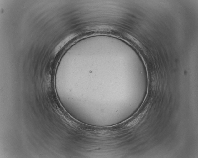 X0000061721066200512231403