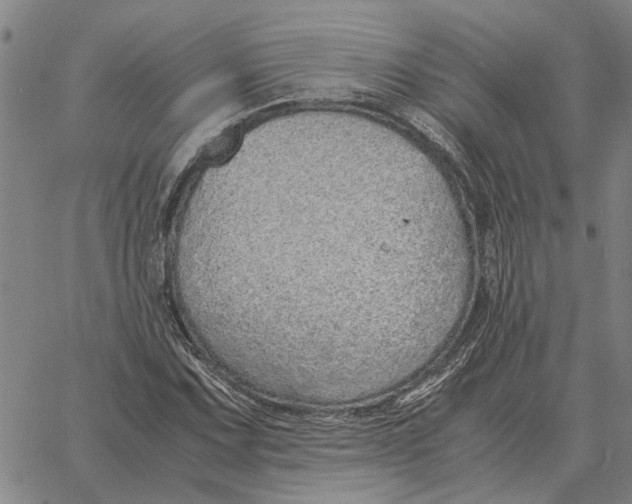 X0000061721067200512231403