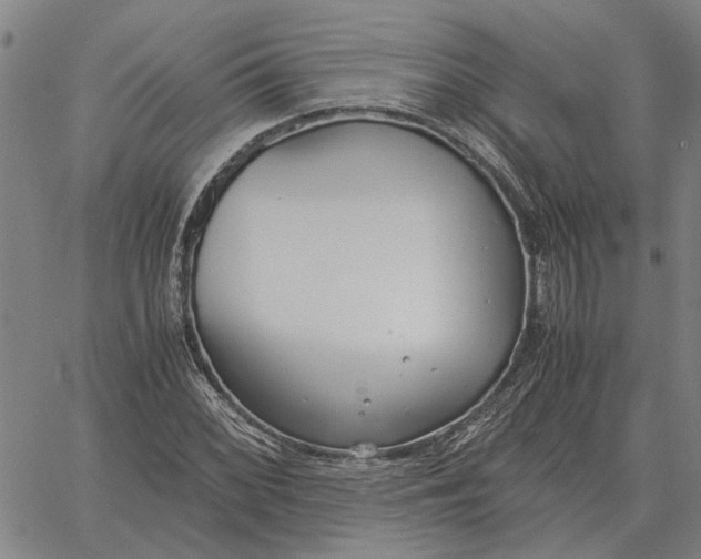 X0000061721068200512231402