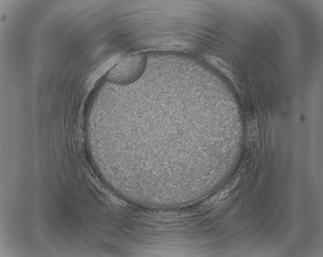 X0000061721071200512231402