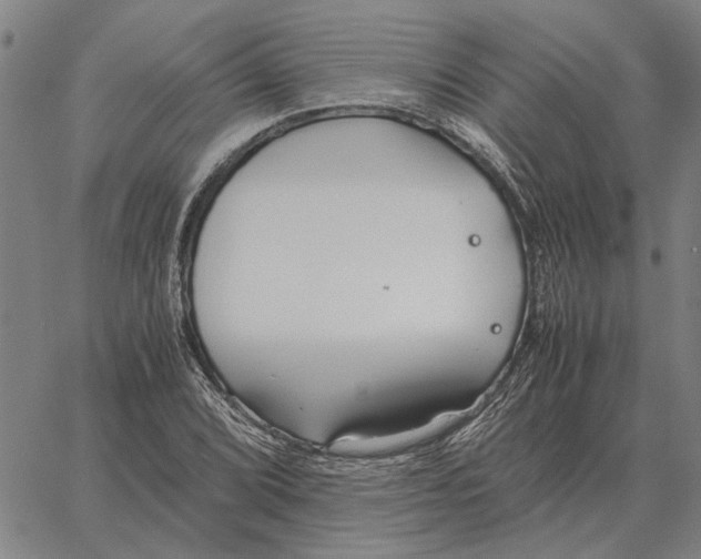 X0000061721072200512231402