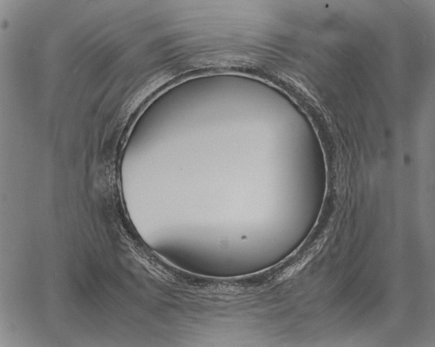 X0000061721073200512231402