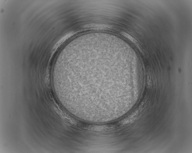 X0000061721074200512231402