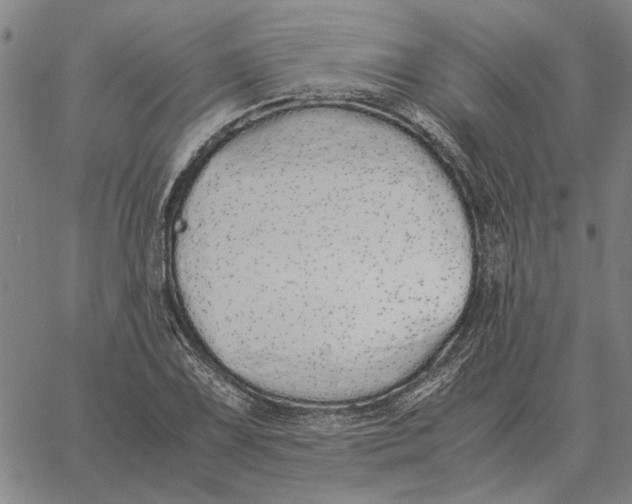 X0000061721075200512231402