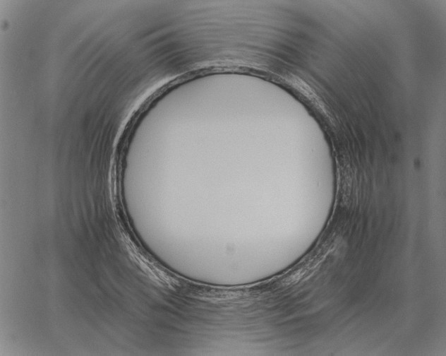 X0000061721076200512231402