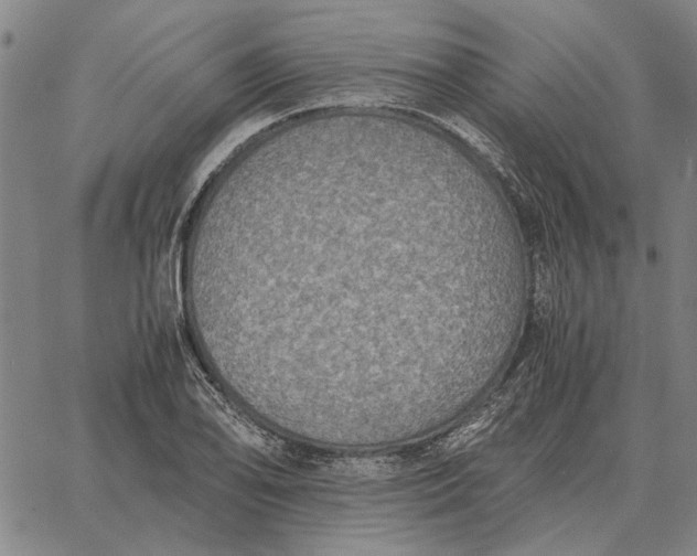 X0000061721078200512231402