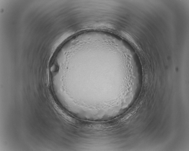 X0000061721079200512231402