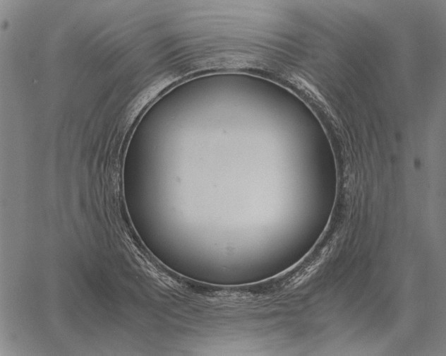 X0000061721081200512231402