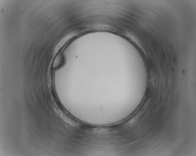 X0000061721082200512231402