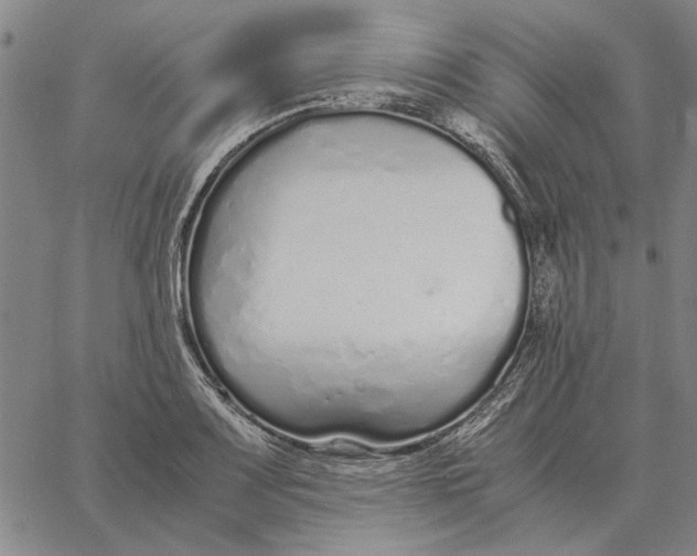 X0000061721083200512231402