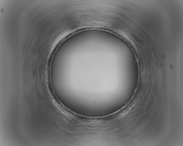 X0000061721085200512231402