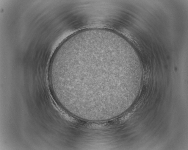 X0000061721086200512231402