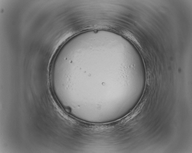 X0000061721087200512231402