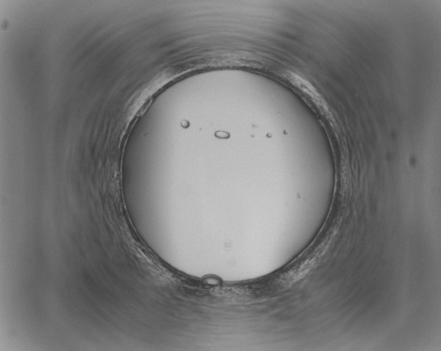 X0000061721089200512231402