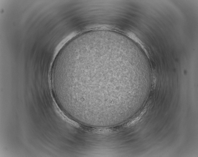 X0000061721090200512231402