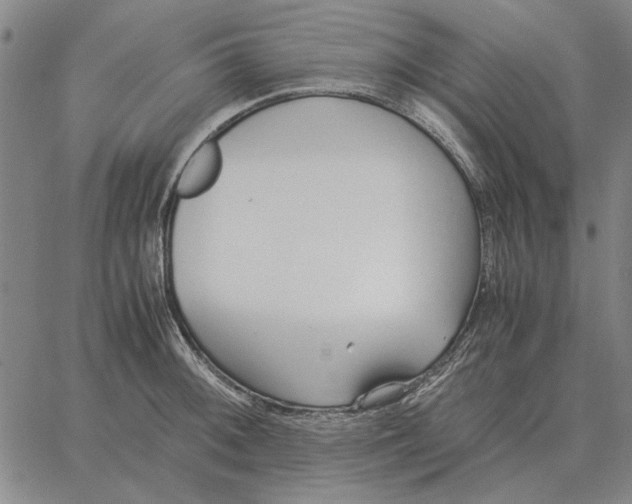 X0000061721092200512231402