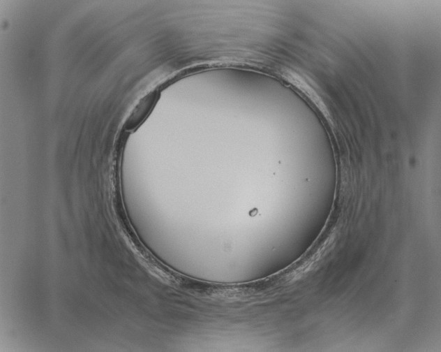 X0000061721093200512231402