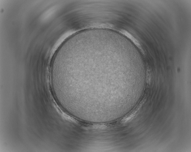 X0000061721094200512231402