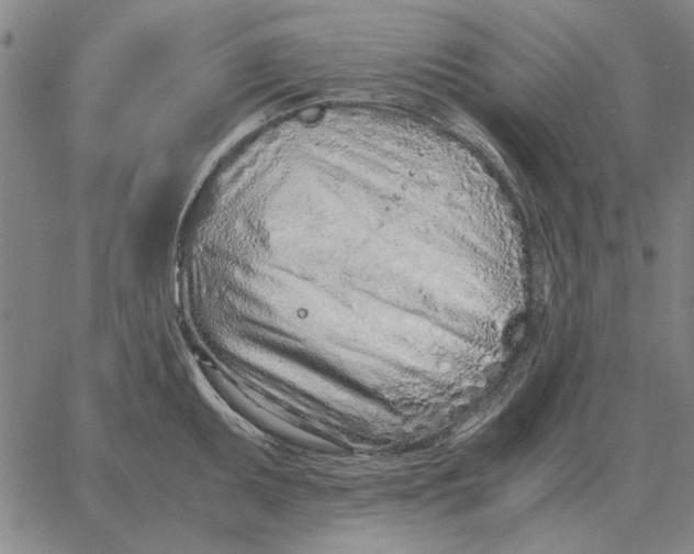 X0000061721095200512231402