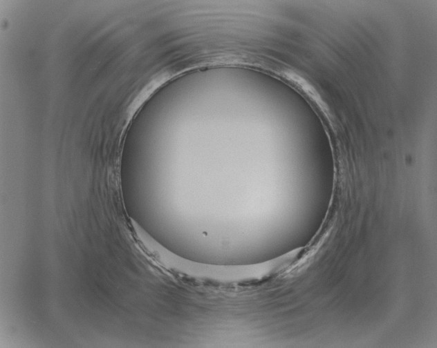 X0000061721097200512231402