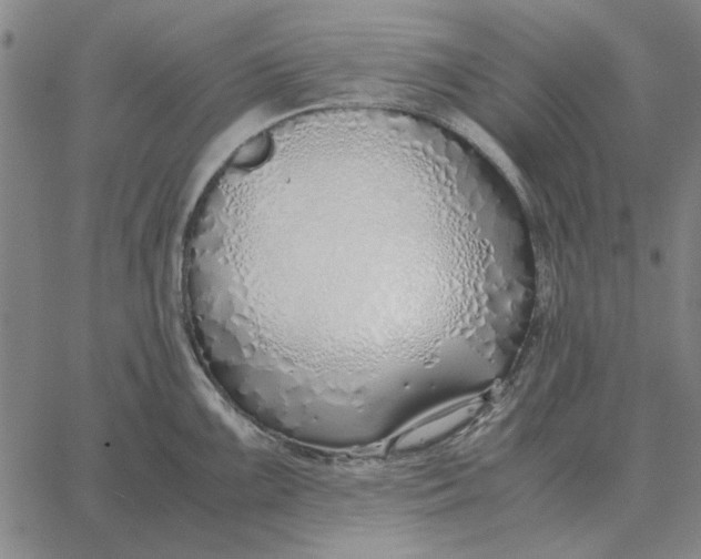 X0000061721099200512231402