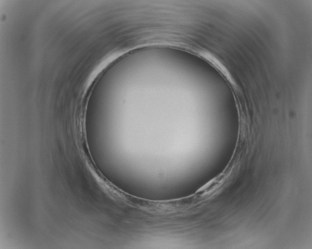 X0000061721101200512231402