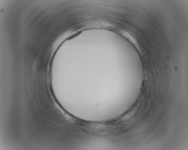 X0000061721103200512231402