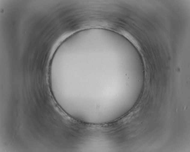 X0000061721104200512231402